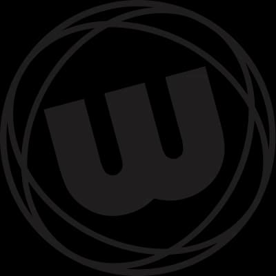 Winmau Dart Flights